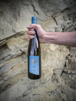 Kalk – Weissburgunder