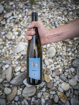 Schotter - Sauvignon Blanc