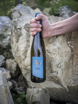 Sandstein - Riesling