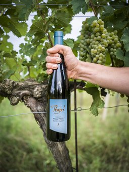Ried Am Wagram - Grüner Veltliner